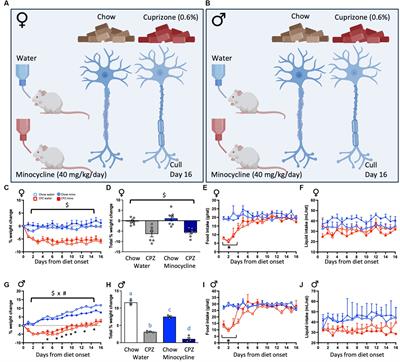 Inhibiting microglia exacerbates the early effects of cuprizone in males in a rat model of multiple sclerosis, with no effect in females